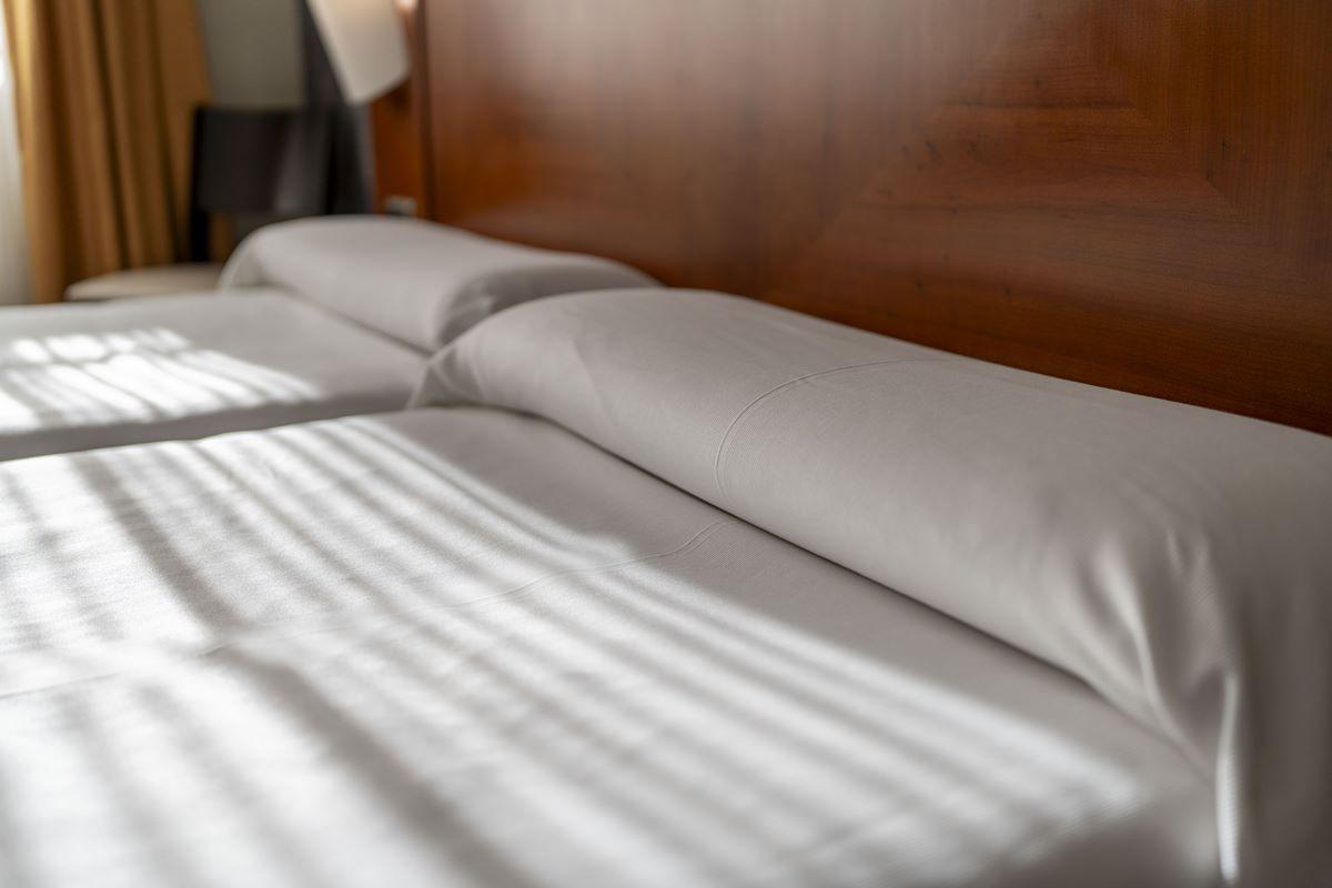 Hotel Torreluz Centro 3*